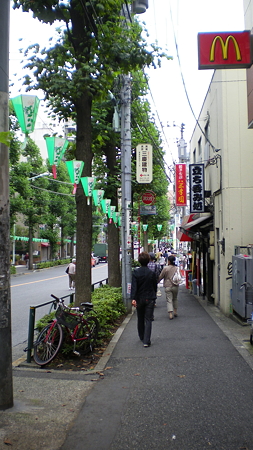 IMGP5209