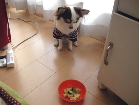 DSCN1393