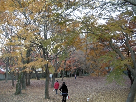 DSCN1286