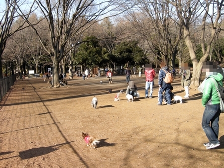 DSCN1706