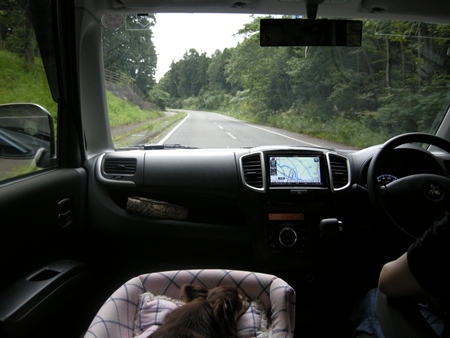 DSCN0671