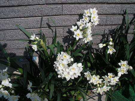 P3300626