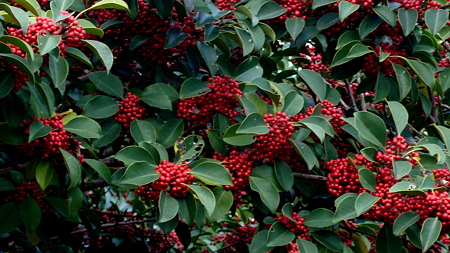 L1070229