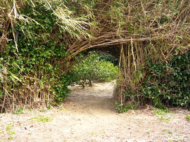 浜松市