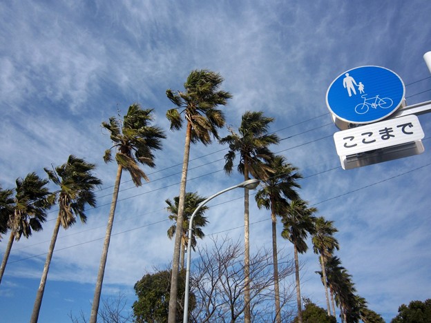 浜松市
