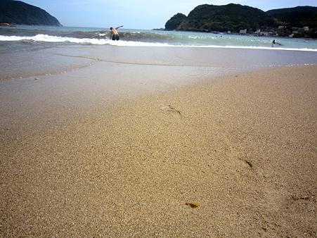 新鹿海水浴場