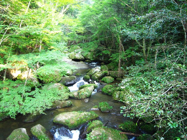 大滝渓谷