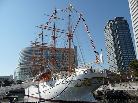 110127-日本丸 (6)