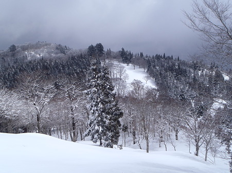 2012040128