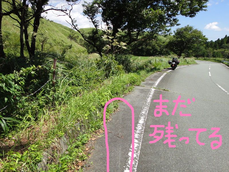 ひと月経つのにまだ傷跡がある ひと月経つのにまだ傷跡がある