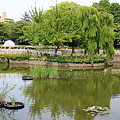 池のある風景ー１