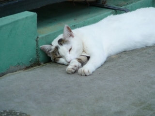 長い2