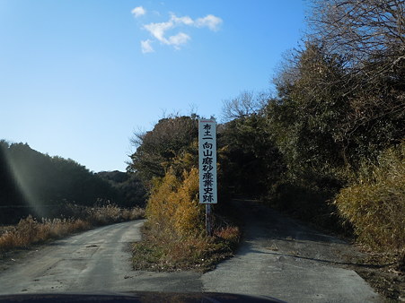 DSCN2155