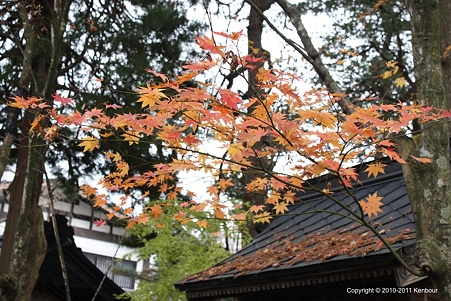 Blog_20111127_40DTesting_08
