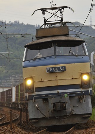 ＥＦ６６ ５４