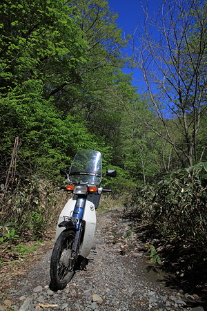IMG_9762-1