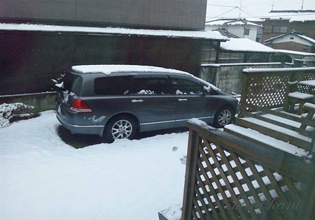 2011.2.15 雪