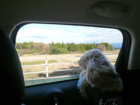 111122_04_koo_1