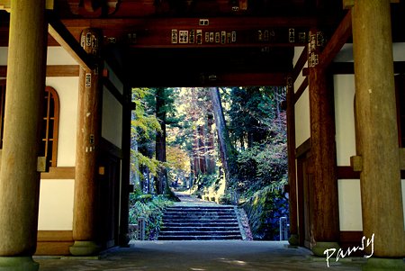 三門より・・大雄山最乗寺さんぽ・・25