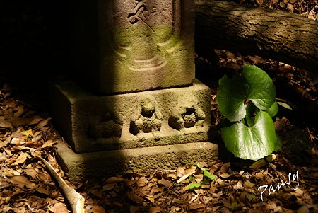 吾妻神社・・1