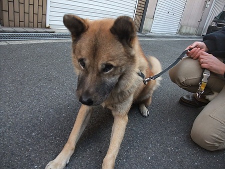 上目遣いの仁さん