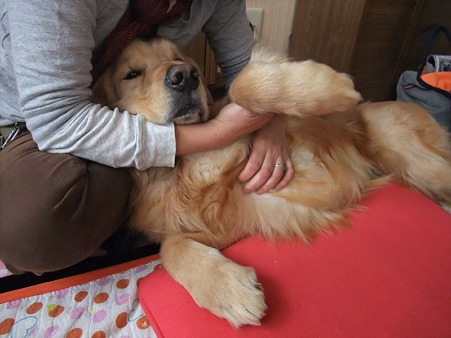 とっても穏やかで