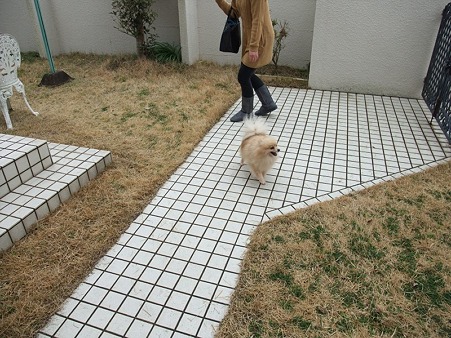 庭だと楽しんでる!