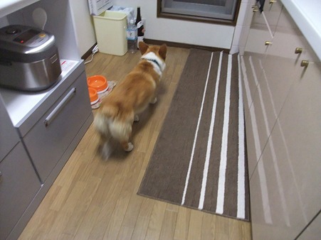 ん?なんかいいにおい