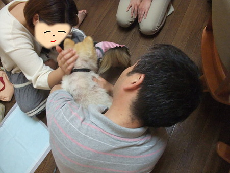 抱っこされたり
