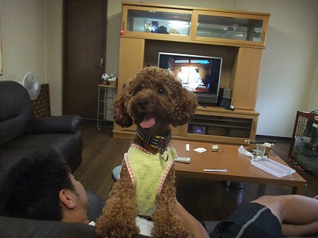 そうそう、それそれ♪