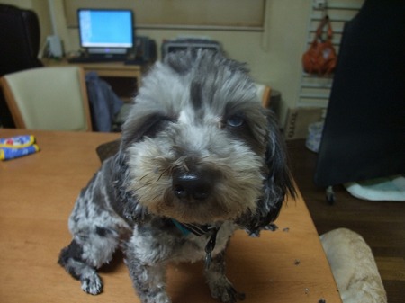 目が死んでる・・・