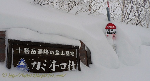 看板・バス停も雪の中 P1120955