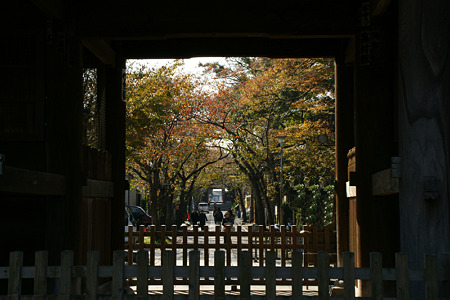 称名寺の三門風景!(111123)