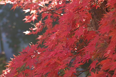 洞光寺 - 023
