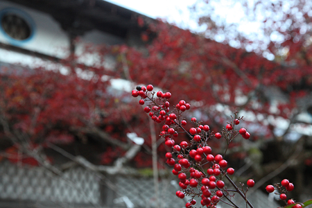 円通寺 - 06