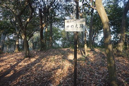 猿掛城 - 04
