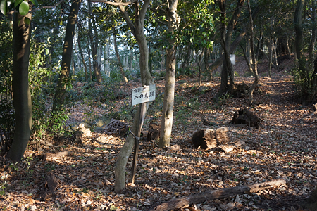 猿掛城 - 05