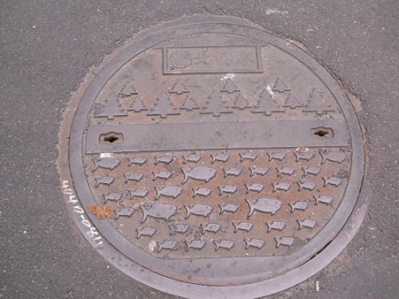 DSCN2537