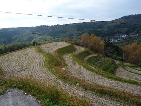 P1070293