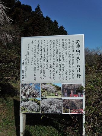 DSCN1379