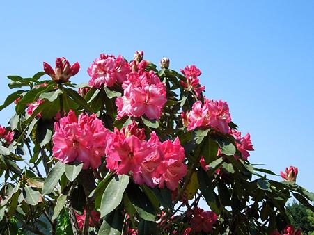 DSCN2482