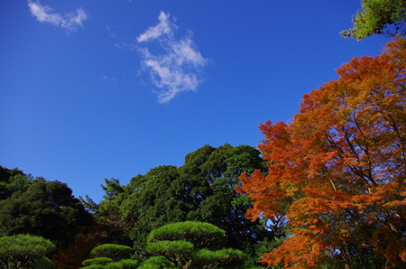IMGP6288