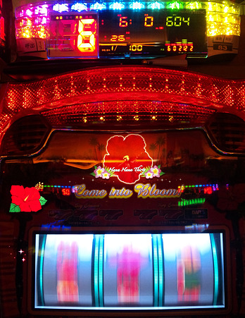 DVC00436_edited