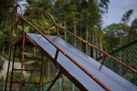 DSC00771