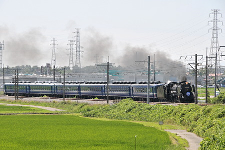 D51(1)