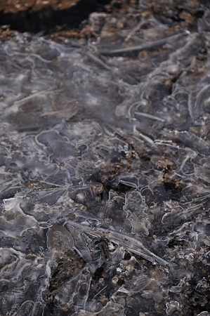 晴天の須走口氷1