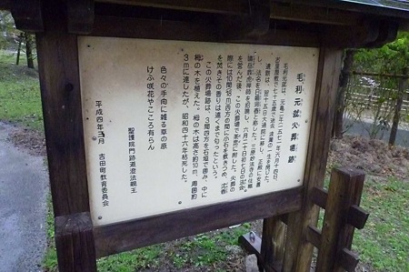 1104271654_P1750310