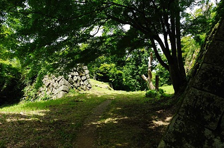 1106231223_DSC_2281