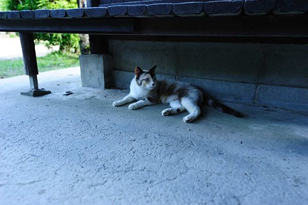 1106231649_DSC_2546