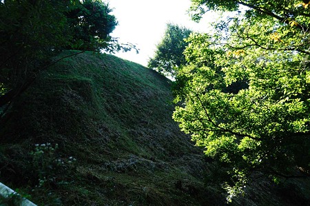 1107120724_DSC_5418
